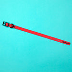 Waterproof PVC Dog Collar - Pink Pow