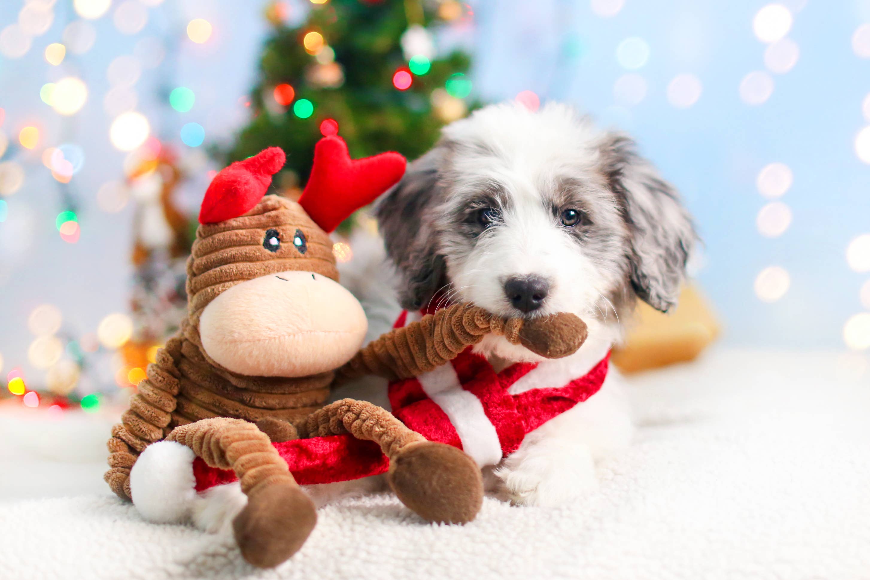 ZippyPaws Holiday Crinkle Reindeer Small