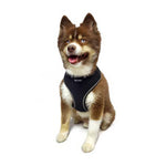 Hip Doggie-Old Header Cards- Ultra Comfort Harness-Black