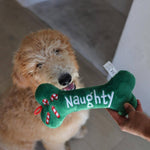 Naughty Nice Bone Dog Toy