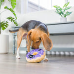 Spiderweb Donut For Dogs