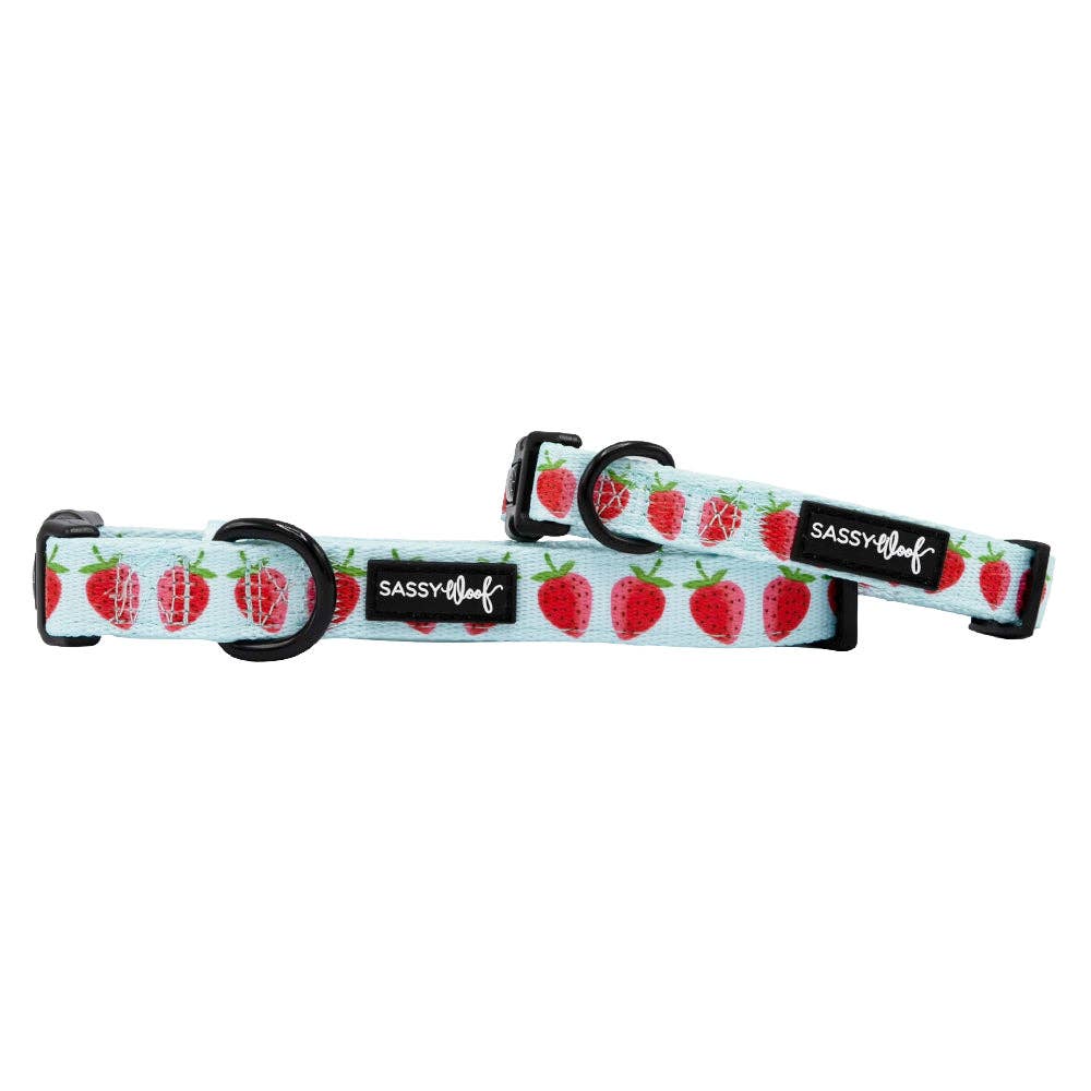 Dog Collar - I Woof You Berry Much: Medium