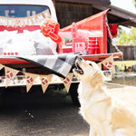 PetShop by Fringe Studio #1 Fan Plush Dog Toy