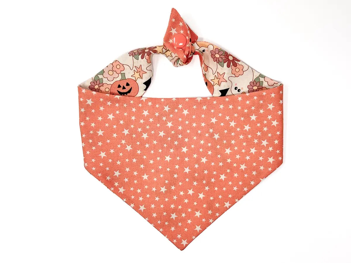 Boho Halloween Reversible Tie On Dog Bandana