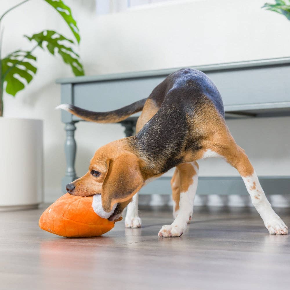 Punkin Pie For Dogs