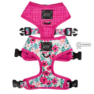 Dog Reversible Harness - Floral Frenzy: Large