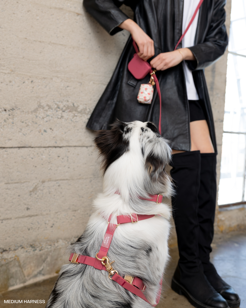 Mulberry Snap Dog Treat Pouch