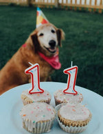 Lazy Dog Vanilla Birthday Cake & Frosting Mix w/Sprinkles