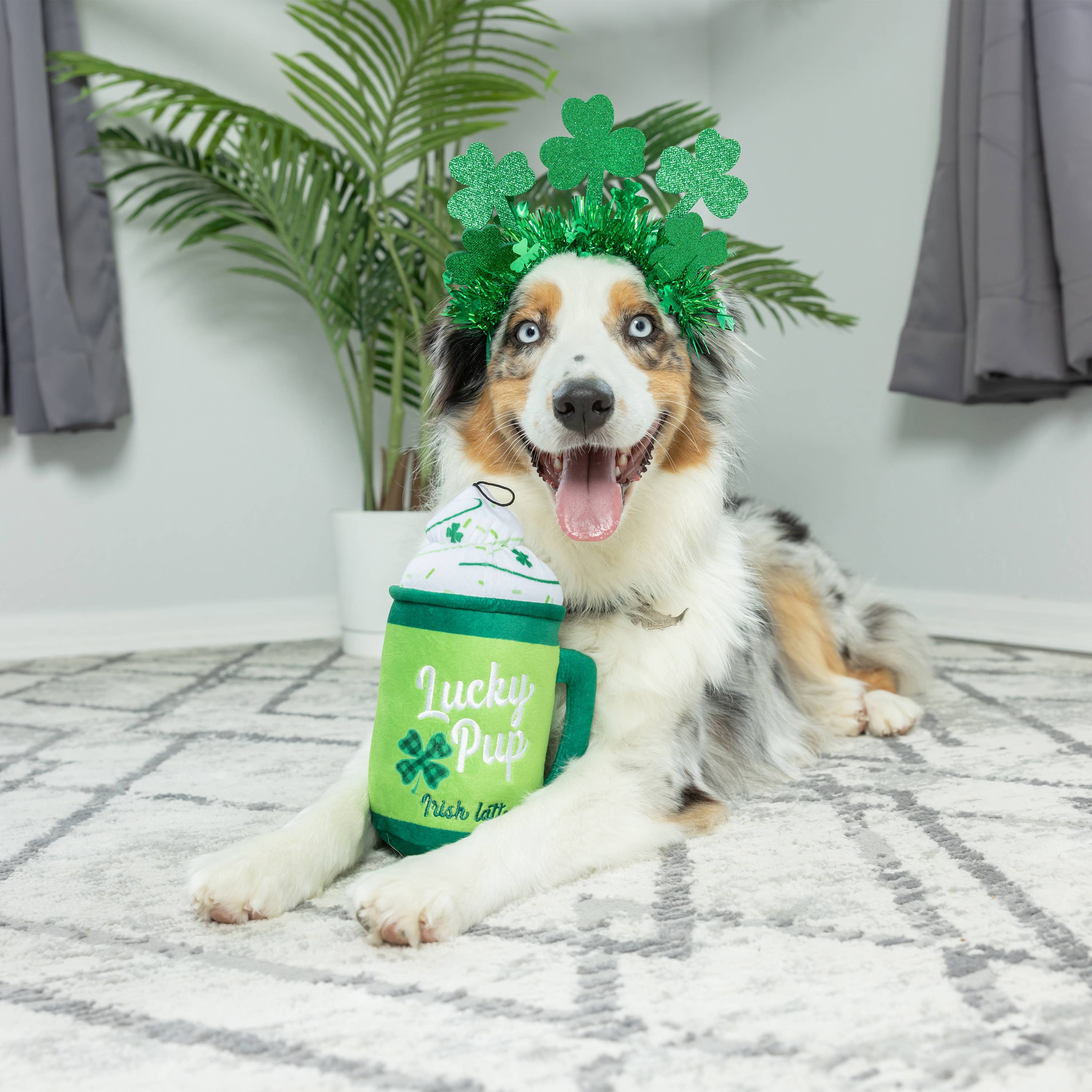 Lucky Pup Irish Latte For Dogs
