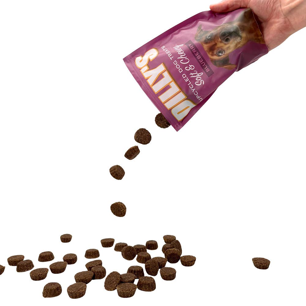Dilly's Blueberry Soft & Chewy Dog Treats 12oz