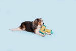 BARK Smelly Wellies