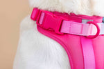 Stasia Dog Harness | No Pull Dog Harness | Pink Dog Harness