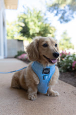 Dog Adjustable Harness - Blumond