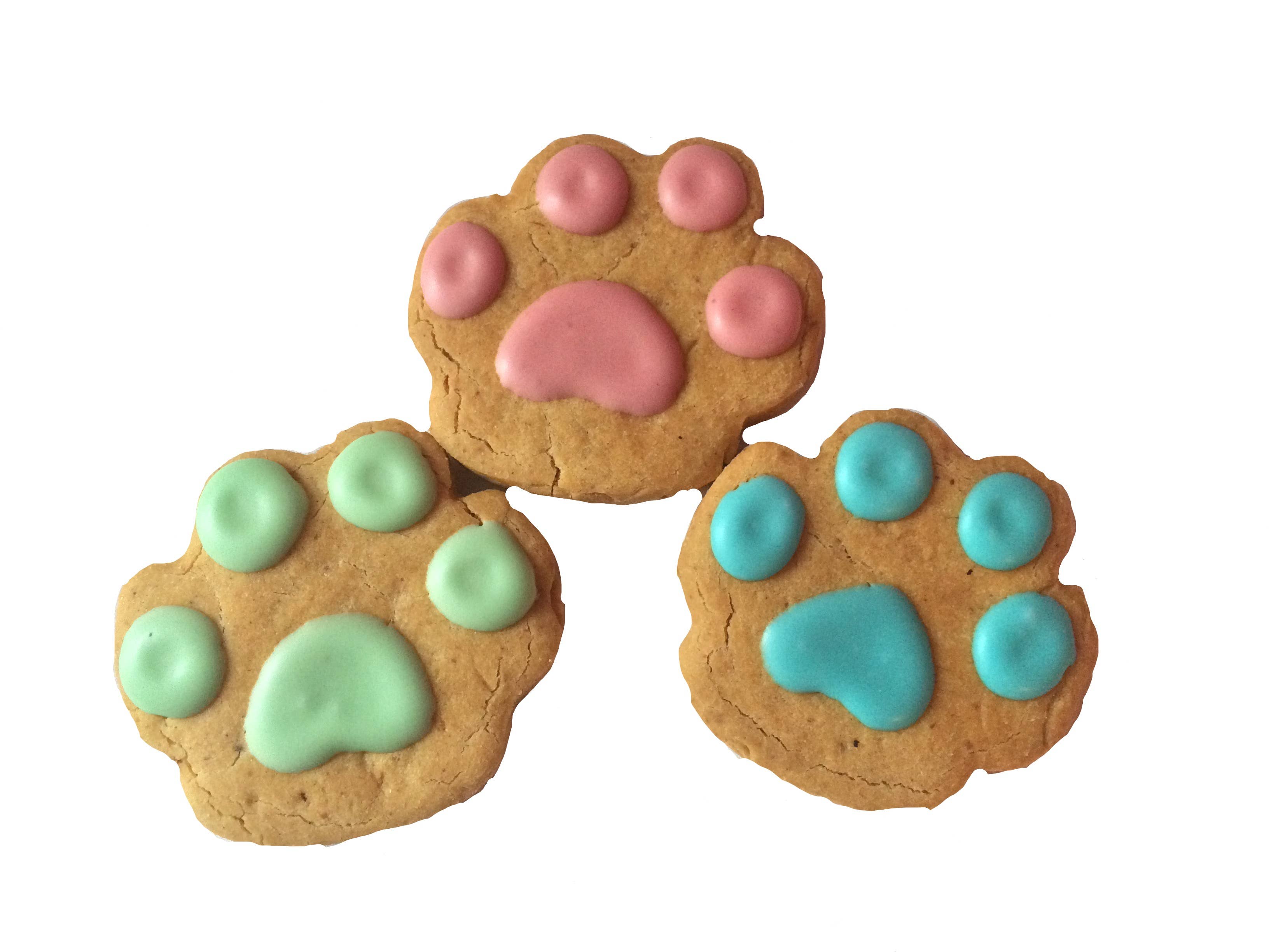 Spring Dog Paw Treat Bag Gluten Free Dog Treats