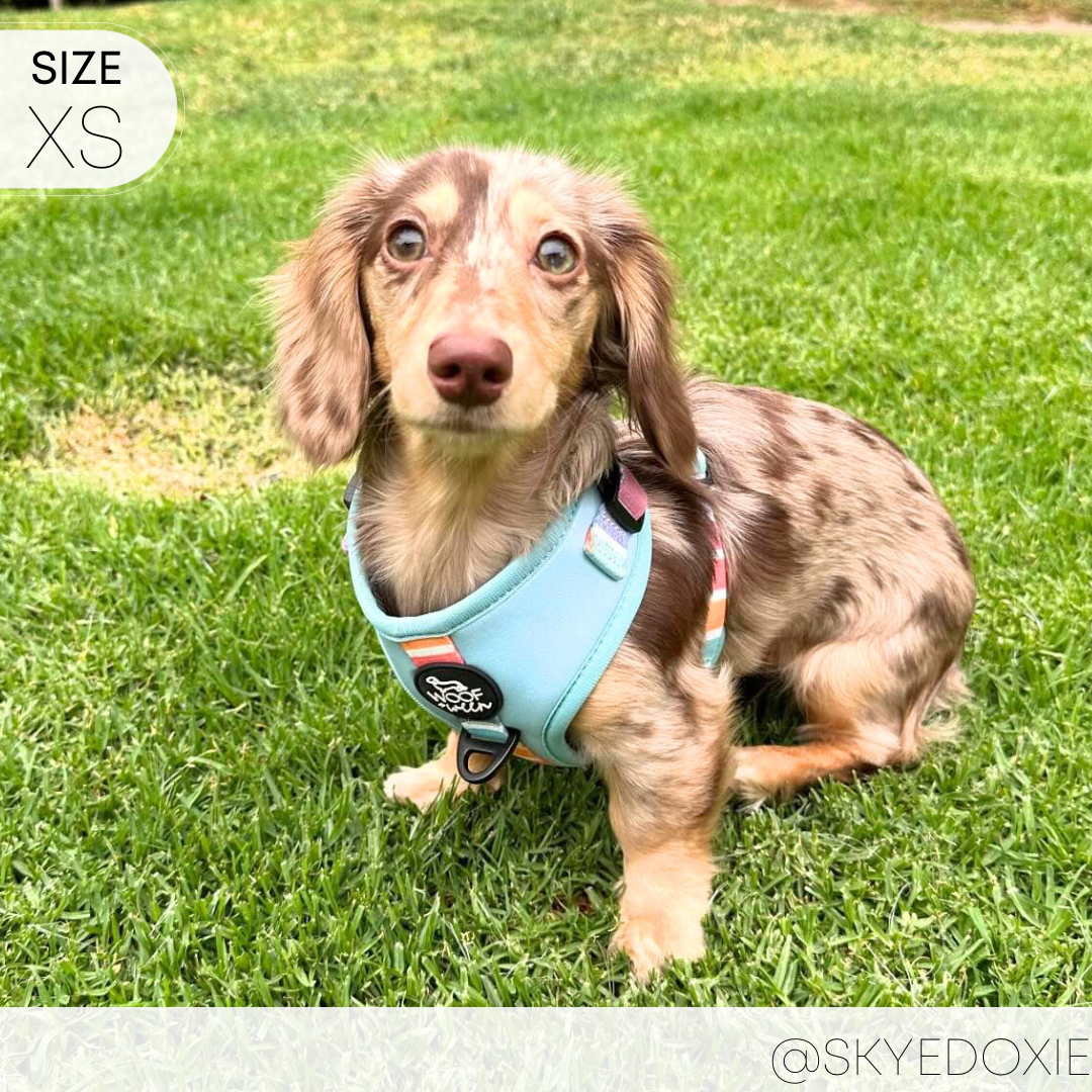 Adjustable Harness - SHERBET SUNSET