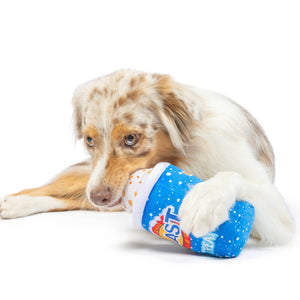 Arctic Blast Treat Dog Toy