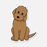 Charlie, The Labradoodle - Dog Sticker