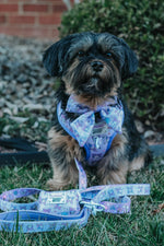 Dog Sailor Bow - Kuromi™