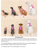 Joana Dog Harness | No Pull Dog Harness | Purple Dog Harness
