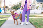 Joana Dog Harness | No Pull Dog Harness | Purple Dog Harness