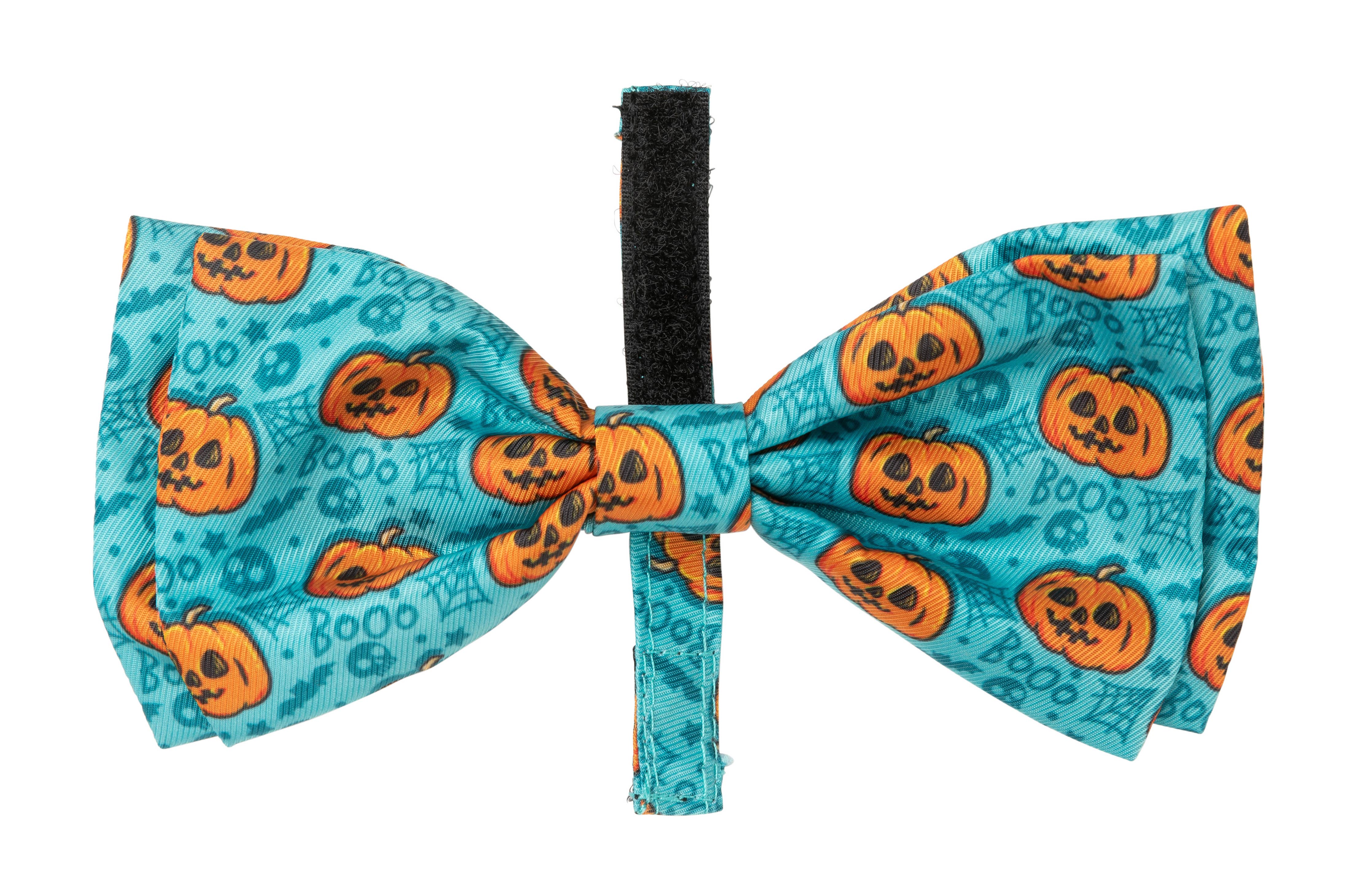 FuzzYard Bowtie Jack Jack Jackie Lantern Teal