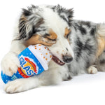 Arctic Blast Treat Dog Toy