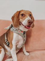 Dog Sailor Bow - Shrooms & Blooms