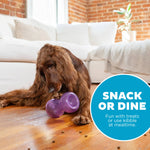 Planet Dog Orbee-Tuff Double Snoop Interactive Dog Toy