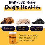 Healthy Pup Glands, Scoot Support for Dogs - 120 Soft Chews