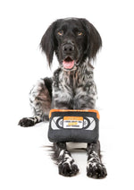 FuzzYard Horror Film Plush Dog Toy