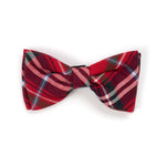 Red Plaid Bow Tie: Red Multicolored