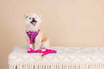 Joana Dog Harness | No Pull Dog Harness | Purple Dog Harness