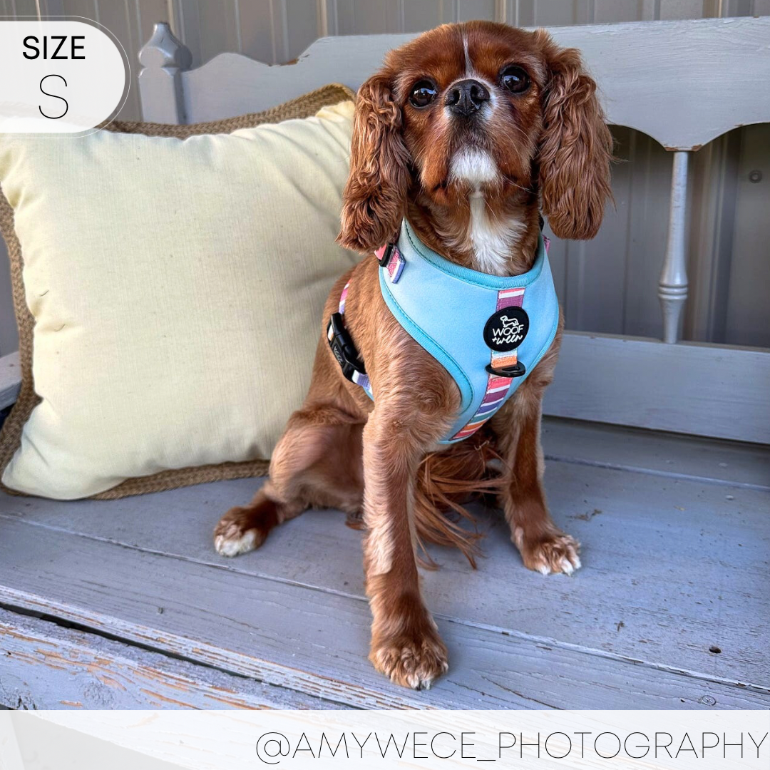 Adjustable Harness - SHERBET SUNSET