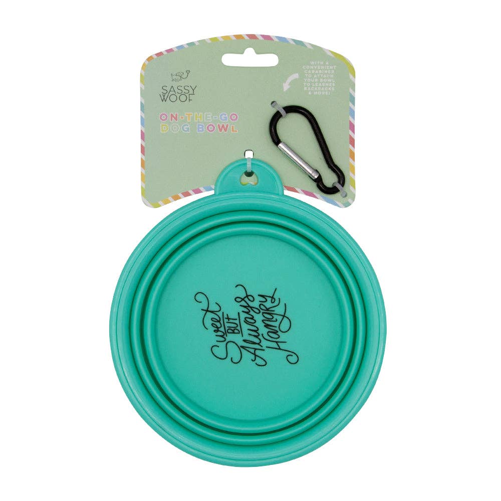 Collapsible Dog Bowl - Sweet, but Always Hangry: Orange