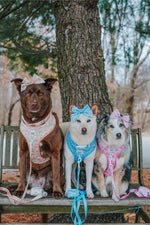 Dog Sailor Bow - Cinnamoroll™