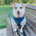 Dog Adjustable Harness - Twilight