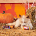 BARK Howl-O-Ween Candy Plush Dog Toy