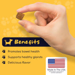 Healthy Pup Glands, Scoot Support for Dogs - 120 Soft Chews