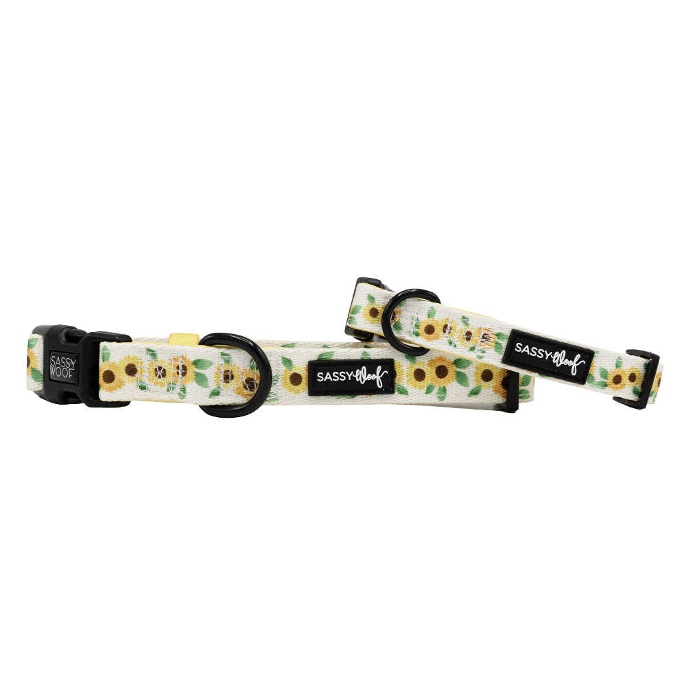 Dog Collar - Sunflower Dreams: Small