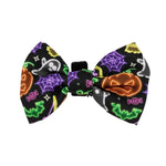 Cat Bowtie - Neon Frights