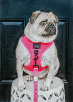 Dog Adjustable Harness - Neon Pink: XL