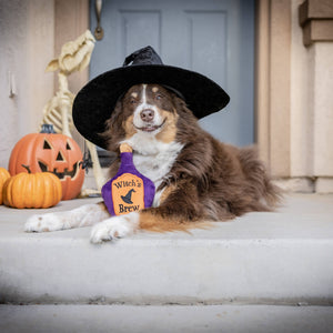 Witch's Brew For Dogs