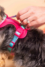 Stasia Dog Harness | No Pull Dog Harness | Pink Dog Harness