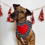 Up-cycled True Love red velvet dog valentine bandana