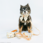 Dog Sailor Bow - Pompompurin™
