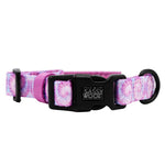 Dog Collar - Purple Haze