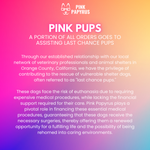 Stasia Dog Harness | No Pull Dog Harness | Pink Dog Harness