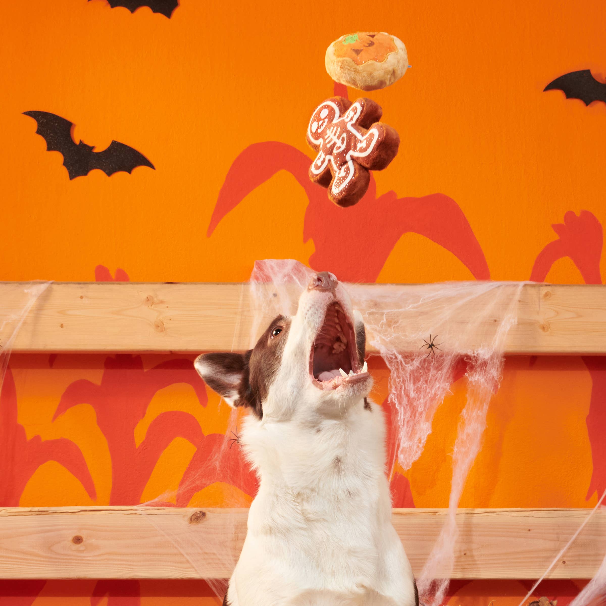 BARK Spookie Cookies Plush Dog Toy