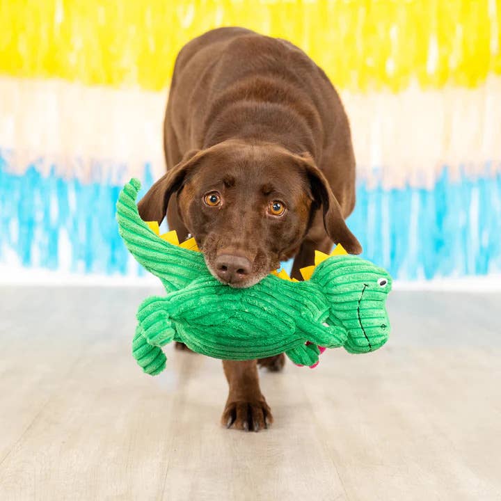 Thorny But Cute Plush Dog Toy