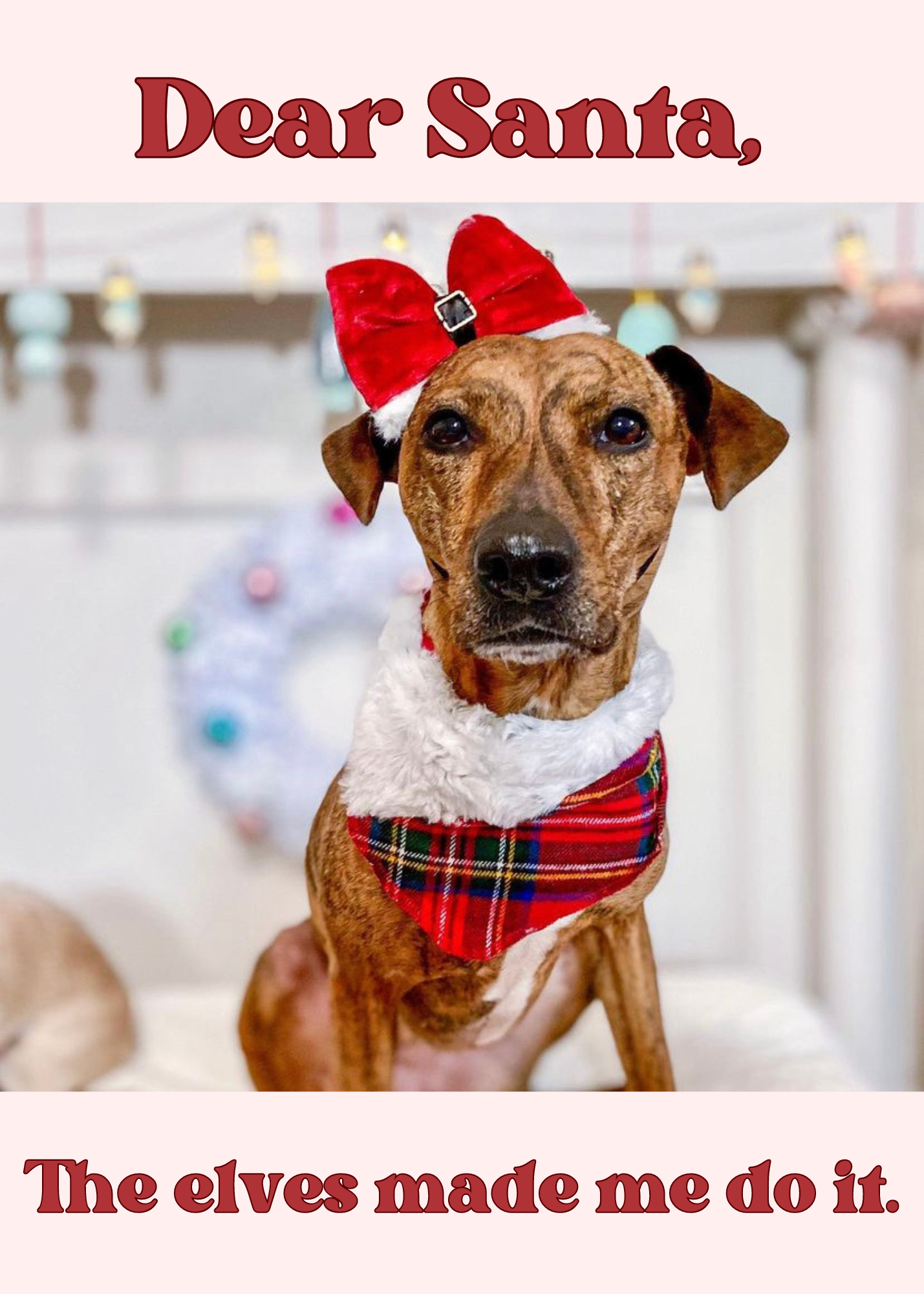 Santa Paws Christmas dog bow tie pet accessory: Collar attachment